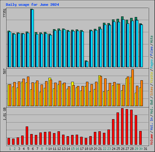 Daily usage for June 2024