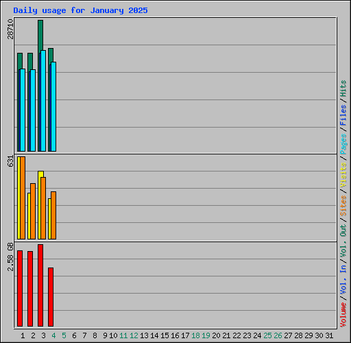 Daily usage for January 2025