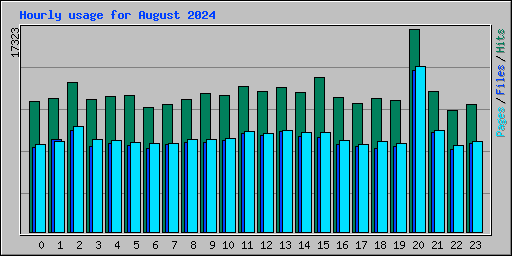 Hourly usage for August 2024