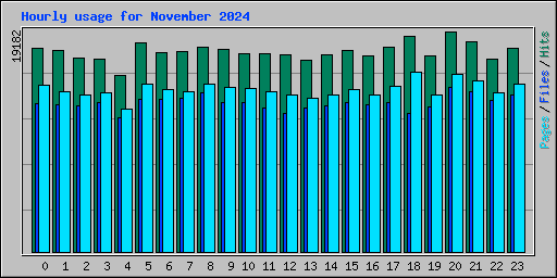 Hourly usage for November 2024