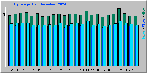 Hourly usage for December 2024