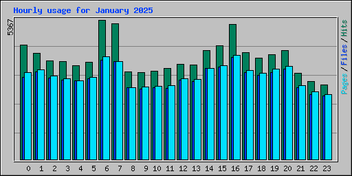 Hourly usage for January 2025