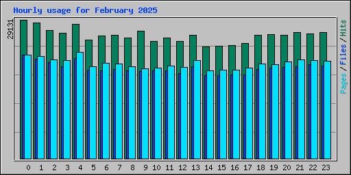 Hourly usage for February 2025