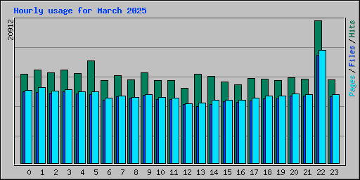 Hourly usage for March 2025