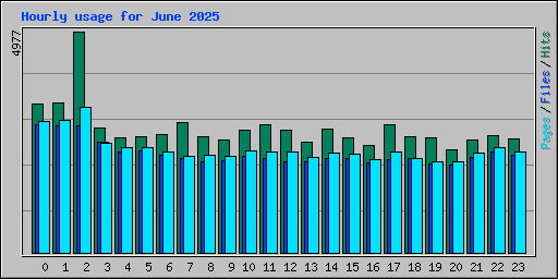Hourly usage for June 2025