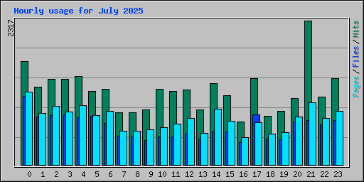 Hourly usage for July 2025
