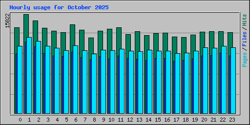 Hourly usage for October 2025