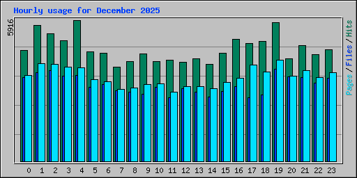 Hourly usage for December 2025