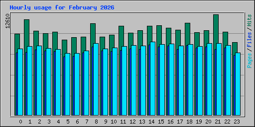 Hourly usage for February 2026