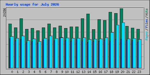 Hourly usage for July 2026